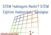 STEM yaklaşımı