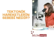 Tektonik hareketler