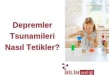 Tsunamiler