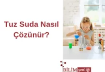 Tuz Su