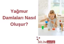 Yağmur Damlaları