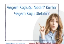 Yaşam Koçluğu
