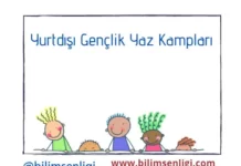 yaz kampları