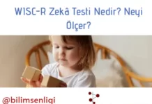 zeka testi
