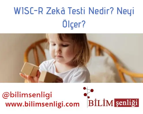 zeka-testi zeka testi