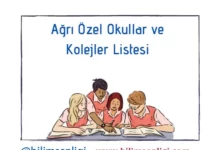 Ağrı Özel Okullar