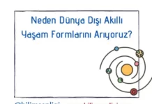 Akıllı Yaşam Formları