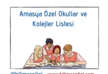 Amasya Özel Okullar