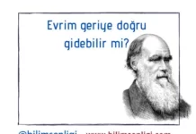 Evrim