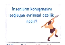evrimsel özellik
