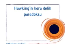 Kara delik paradoksu