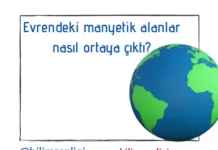 manyetik alanlar
