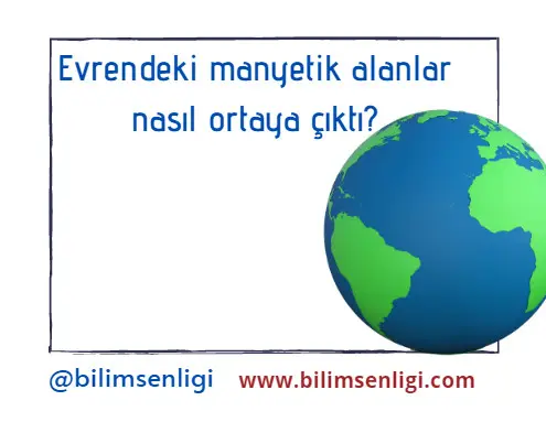 manyetik alanlar