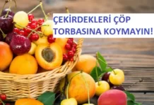 meyvelerin çekirdekleri
