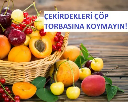 meyvelerin çekirdekleri