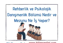 Rehberlik ve Psikolojik Danışmanlık