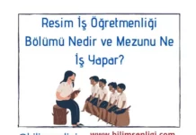 Resim İş Öğretmenliği