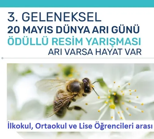 resim-yarismasi Resim Yarışması