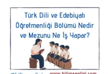 Türk Dili ve Edebiyatı Öğretmenliği
