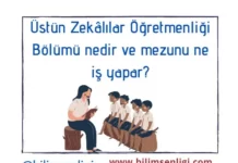 Üstün Zekalılar Öğretmenliği