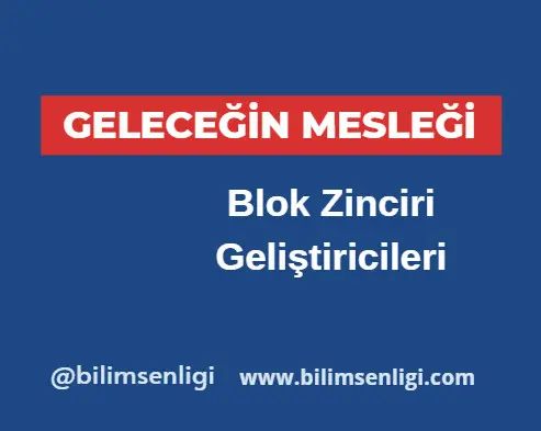 Blok Zinciri Geliştiricileri