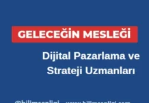 Dijital Pazarlama ve Strateji Uzmanları