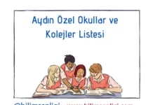 Aydın Özel Okullar