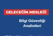 Bilgi Güvenliği Analistleri