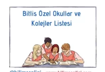 Bitlis Özel Okullar
