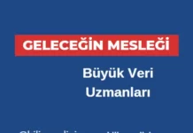 Büyük Veri Uzmanları