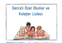 Denizli Özel Okullar