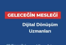 Dijital Dönüşüm Uzmanları
