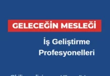 İş Geliştirme Profesyonelleri
