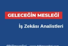 İş Zekâsı Analistleri