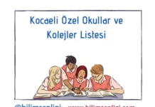 Kocaeli Özel Okullar