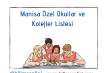 Manisa Özel Okullar