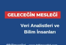 Veri Analistleri