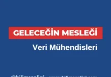 Veri Mühendisleri
