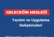 Yazılım ve Uygulama Geliştiricileri