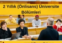 2 Yıllık Üniversite Bölümleri