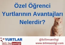 Özel öğrenci yurtları