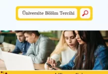 Üniversite Tercihi
