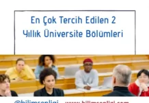 üniversite bölüm tercihleri