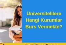 Üniversite öğrenci bursları
