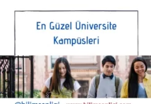 Üniversite Kampüsleri