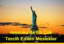Tercih Edilen Meslekler