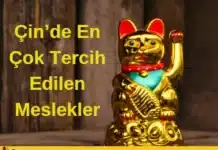Tercih Edilen Meslekler
