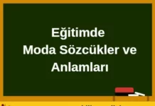 Eğitimde Moda Sözcükler ve Anlamları Eğitimde Moda Sözcükler