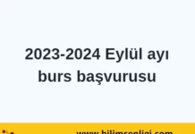 burs başvurusu