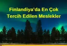 Tercih Edilen Meslekler